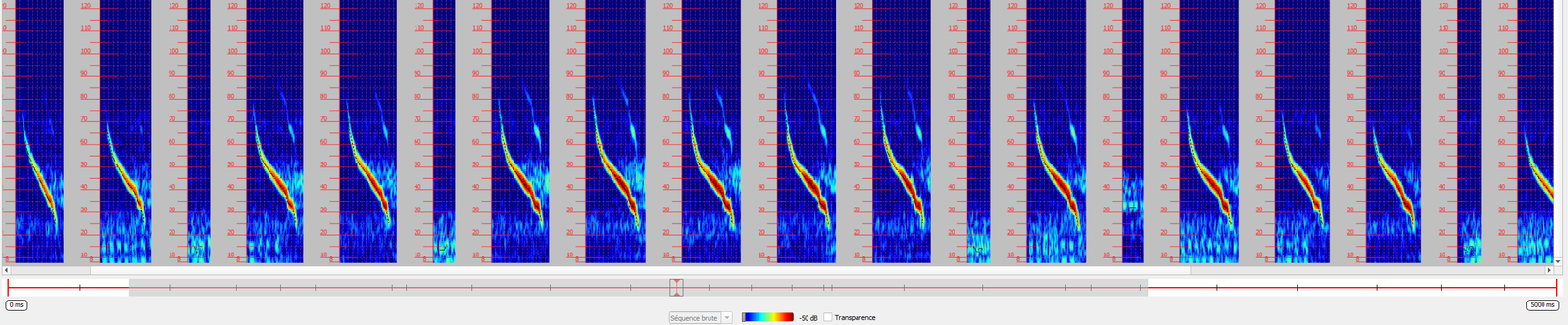 Représentation d'un sonogramme de chiroptère pour l'analyse acoustique